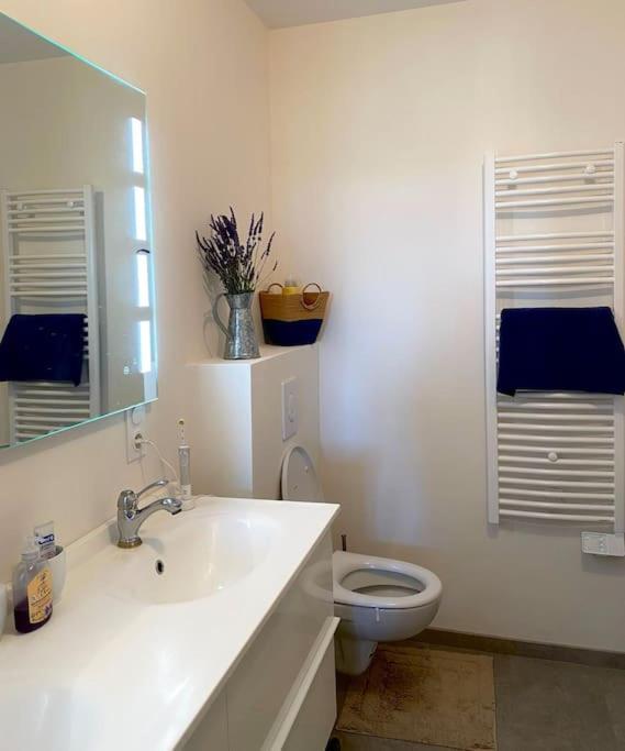 Peaceful Retreat In Drome Provencale Castel *